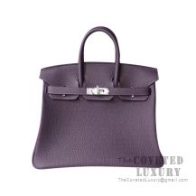 Hermes Birkin 25 Handbag 59 Raisin Togo SHW