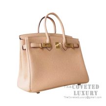 Hermes Birkin 25 Handbag CC24 Tabac Camel Togo GHW