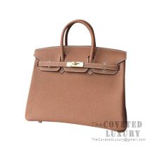 Hermes Birkin 25 Handbag CK37 Gold Togo GHW