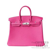 Hermes Birkin 25 Handbag L3 Rose Purple Togo SHW