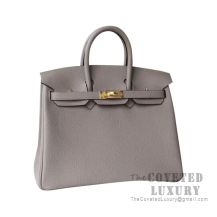 Hermes Birkin 25 Handbag M8 Gris Asphalt Togo GHW