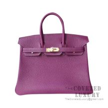 Hermes Birkin 25 Handbag P9 Anemone Togo GHW