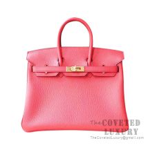 Hermes Birkin 25 Handbag T5 Rose Jaipur Togo GHW