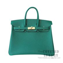 Hermes Birkin 25 Handbag U4 Vert Vertigo Togo GHW