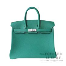 Hermes Birkin 25 Handbag U4 Vert Vertigo Togo SHW