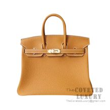 Hermes Birkin 25 Handbag CC21 Natural Sable Togo GHW