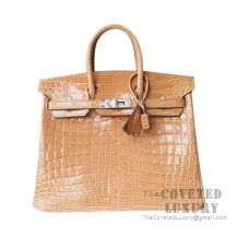 Hermes Birkin 25 Handbag N7 Blue Tempete Shiny Niloticus GHW