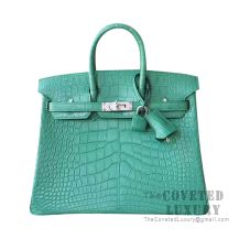 Hermes Birkin 25 Handbag 1L Cactus Matte Alligator SHW