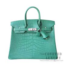 Hermes Birkin 25 Handbag CC80 Pearl Grey Matte Alligator SHW