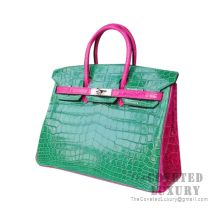 Hermes Birkin 25 Handbag 1L Cactus And J5 Rose Scheherazade Shiny Niloticus SHW