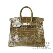 Hermes Birkin 25 Handbag 6H Vert Veronese Shiny Alligator GHW