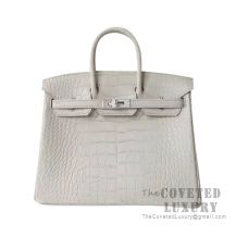 Hermes Birkin 25 Handbag 8L Beton Matte Alligator SHW