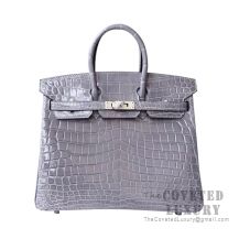 Hermes Birkin 25 Handbag 8M Gris Paris Shiny Niloticus SHW