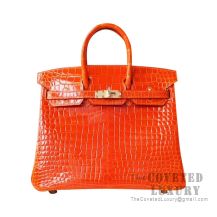 Hermes Birkin 25 Handbag 8V Orange Poppy Shiny Porosus Croc GHW