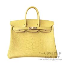 Hermes Birkin 25 Handbag 9R Lime Matte Alligator GHW