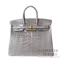 Hermes Birkin 25 Handbag CK81 Gris Tourterelle Shiny Alligator GHW