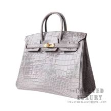 Hermes Birkin 25 Handbag CK81 Gris Tourterelle Shiny Niloticus GHW