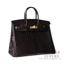 Hermes Birkin 25 Handbag 89 Noir Shiny Porosus Croc GHW