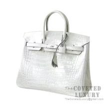 Hermes Birkin 25 Handbag CC80 Pearl Grey Matte Alligator SHW