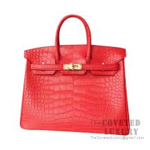 Hermes Birkin 25 Handbag CC95 Braise Matte Alligator GHW