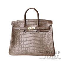 Hermes Birkin 25 Handbag M1 Oregano Matte Alligator GHW