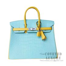 Hermes Birkin 25 Handbag U6 Vert D'Eau And M9 Mimosa Matte Alligator SHW