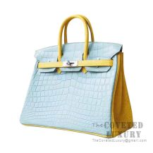 Hermes Birkin 25 Handbag U6 Vert D'Eau And M9 Mimosa Matte Niloticus SHW