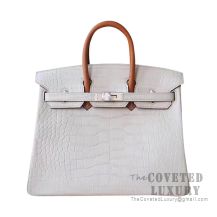 Hermes Birkin 25 Handbag Y1 Vanille And Barenia Matte Alligator SHW