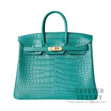 Hermes Birkin 25 Handbag Z6 Malachite Matte Alligator GHW