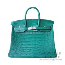 Hermes Birkin 25 Handbag U6 Vert D'Eau And M9 Mimosa Matte