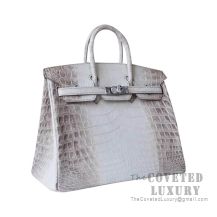 Hermes Birkin 25 Handbag Himalaya Niloticus SHW