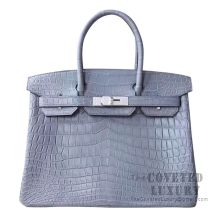 Hermes Birkin 30 Handbag 8M Gris Paris Matte Niloticus SHW