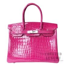 Hermes Birkin 30 Bag ck31 Miel Shining Niloticus Croc GHW