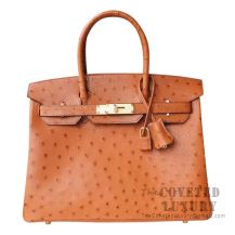 Hermes Birkin 30 Handbag CC37 Gold Ostrich GHW