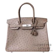 Hermes Birkin 30 Handbag CK19 Mousse Ostrich SHW