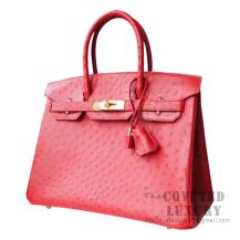 Hermes Birkin 30 Handbag CC53 Rouge Vif Ostrich GHW