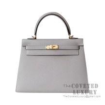 Hermes Kelly 25 Handbag 4Z Gris Mouette Epsom GHW