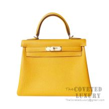 Hermes Kelly 25 Handbag 9D Ambre Togo GHW