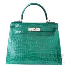 Hermes Kelly 25 Bag 1C Poussiere Matte Niloticus And Barenia SHW