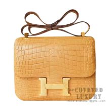 Hermes Constance 23 Bag 1G Mais Matte Alligator GHW