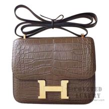 Hermes Mini Constance 18 Bag M1 Oregano Matte Alligator GHW