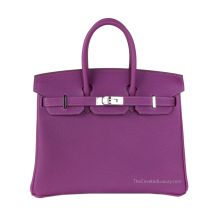 Hermes Birkin 25 in Anémone Togo leather with Silver, front view