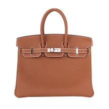 Hermes Birkin 25 in Gold Togo leather with Palladium Hardware, front view