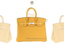 Hermes Birkin 25 in Jaune Ambre Togo leather with Palladium Hardware, front view