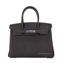 Hermes Birkin 30 in Etain Togo leather with Palladium Hardware, front view