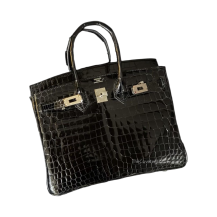 Hermes Birkin 25 Shiny Nile Crocodile Black Silver Hardware Front View