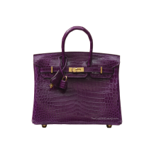 Hermes Birkin 25 Shiny Nile Crocodile Cassis Gold Hardware Front View