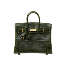 Hermes Birkin 25 Shiny Nile Crocodile Vert Canopee Gold Hardware Front View