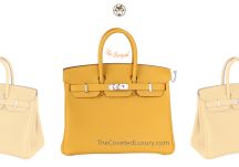 Hermes Birkin 25 in Jaune Ambre Togo leather with Palladium Hardware, front view