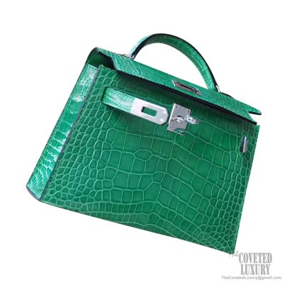 Hermes kelly cactus store